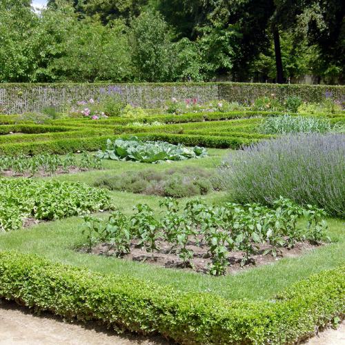 Gartenbau - Bild1